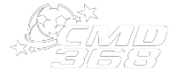 Logo Provider